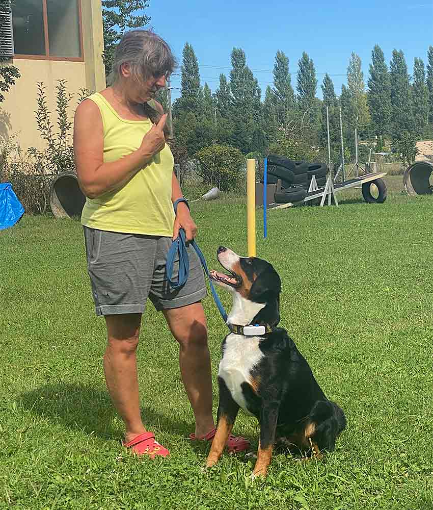 Monats-Treff Swiss Bläss Working Dogs