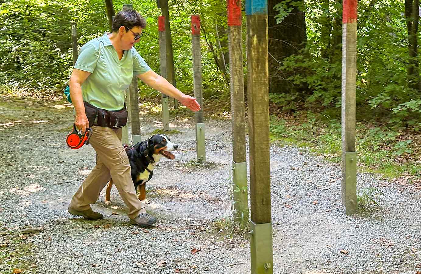 Appenzeller Sennenhund auf dem Vitaparcours